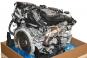 Motor gasolina 276823  - OSC_IMAGE 2