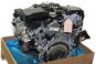 Motor gasolina 276824  - OSC_IMAGE 2
