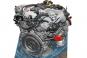 Motor gasolina 279981  - OSC_IMAGE 2