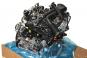 Motor gasolina  - OSC_IMAGE 2