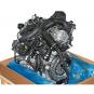 Motor gasolina 282914  - OSC_IMAGE 2