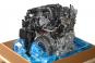 Motor gasolina 282814  - OSC_IMAGE 2