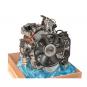 Motor diésel BM646985  - OSC_IMAGE 2