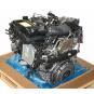 Motor diésel 654920  - OSC_IMAGE 2