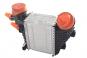 Intercooler, izquierda  - OSC_IMAGE 3